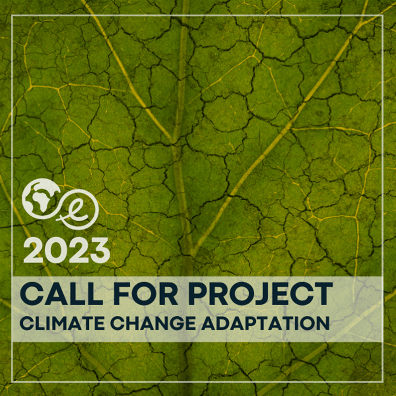 Validé Call For Project Site Web 2023